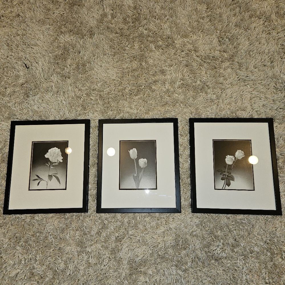 Bundle 5/$25. 3 black and white framed flower pictures